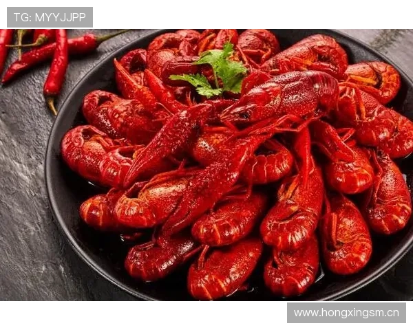 2017足球赛事一览表（2017年有哪些足球比赛）sports