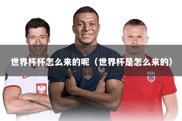 世界杯杯怎么来的呢（世界杯是怎么来的）