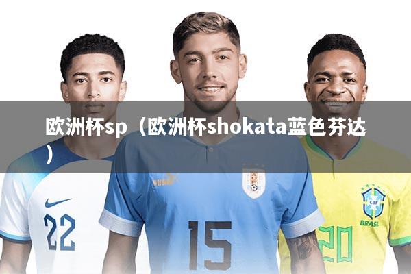 欧洲杯sp（欧洲杯shokata蓝色芬达）